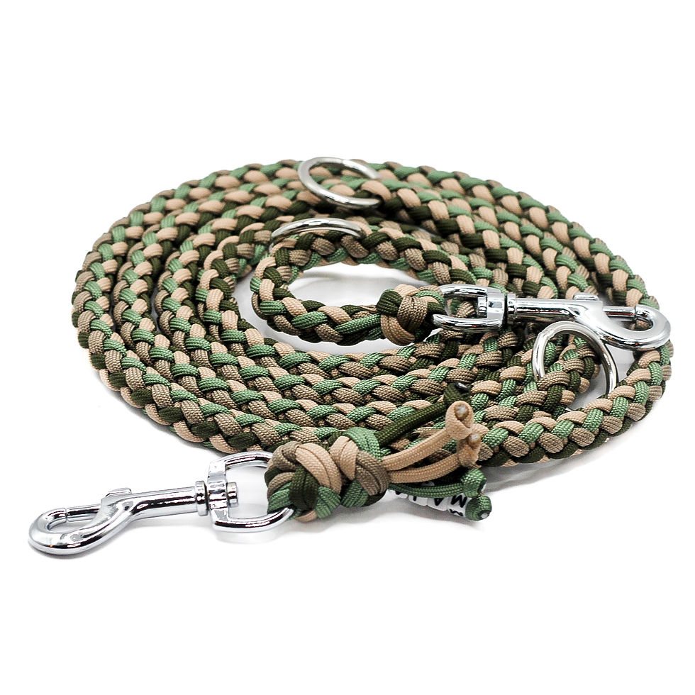 Miniaturbild: Paracordleine Kansas