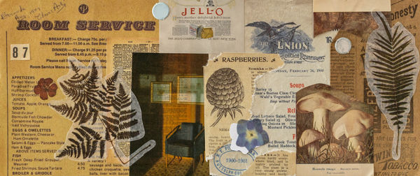 collage nature 2