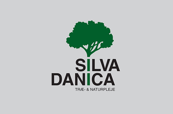 SilvaDanica_FINAL_web.jpg