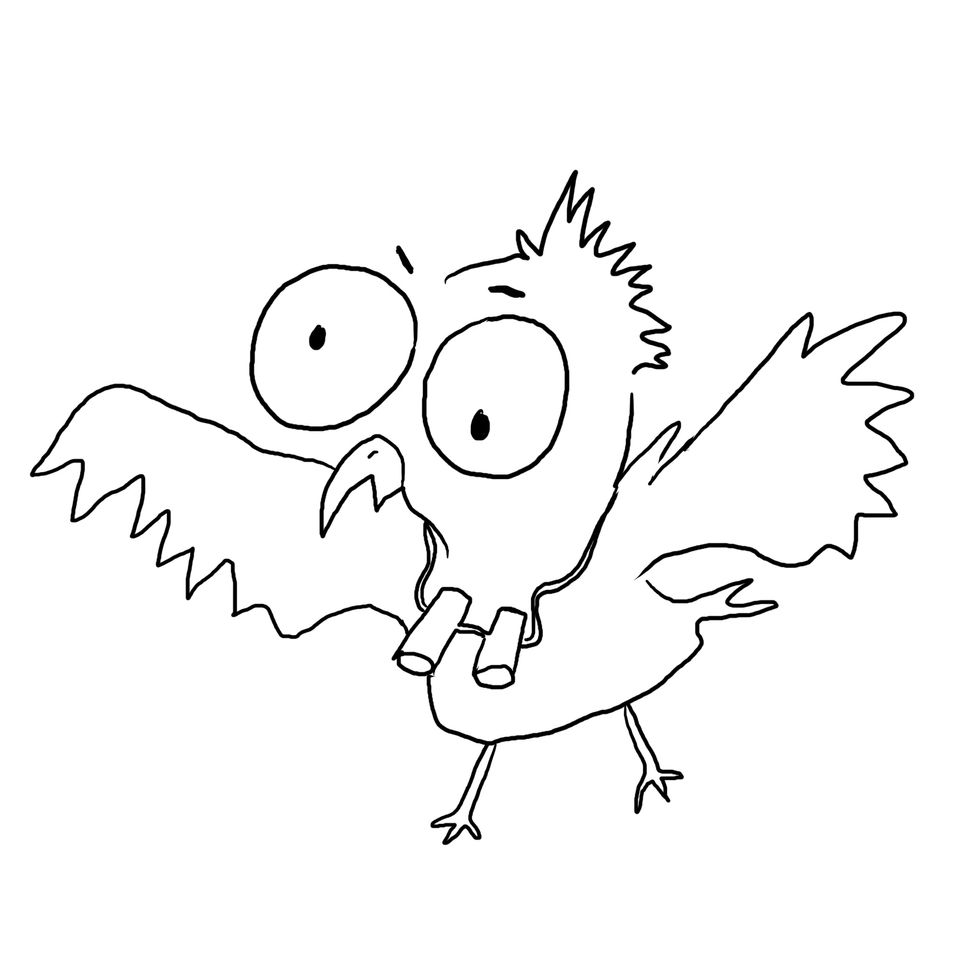 Vogel