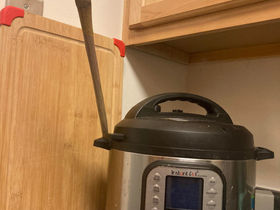 Once A Kosher Household's Best Friend Turns Against Families On First Night Of Hanukkah
