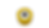 Polyurethane Roller