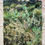 Thumbnail: Sway, paper 30x22"
