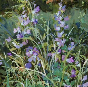 Studio Notes:  July 2024