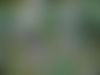 Studio Notes: July 2024
