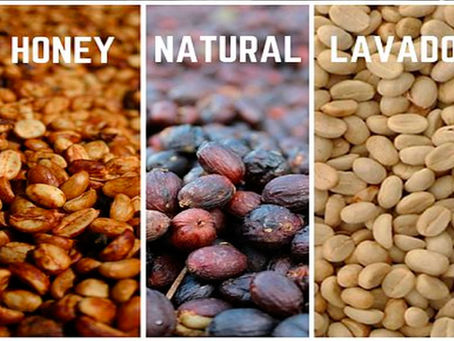 Los procesos de beneficiados