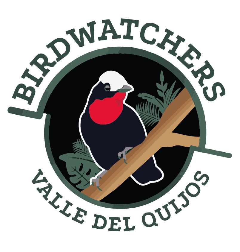 Birdwatchers QuijosMesa de trabajo 1.png
