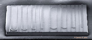 RRSM_02