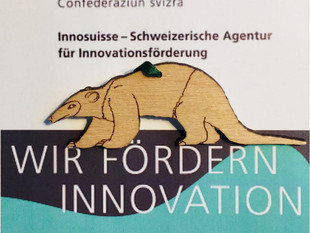 Innosuisse x Tamandua