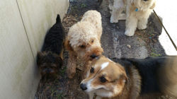 20150604_112521 (1).jpg