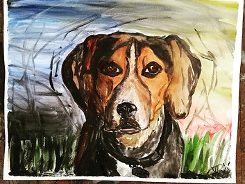 Watercolor of my dog