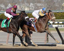 Kentucky Derby - Horses 3