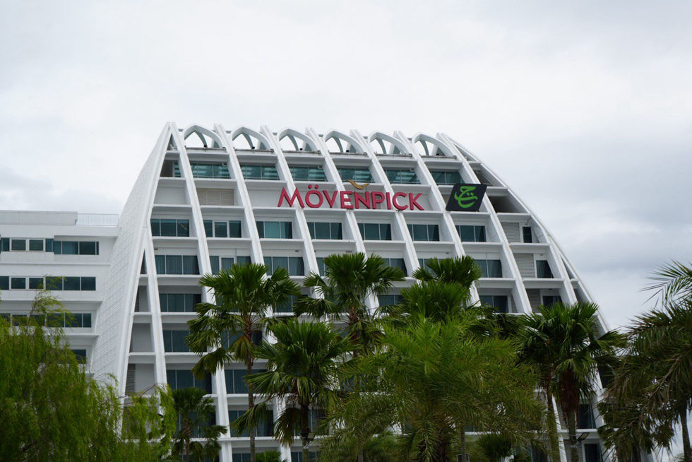 photo_6242168613628480263_y