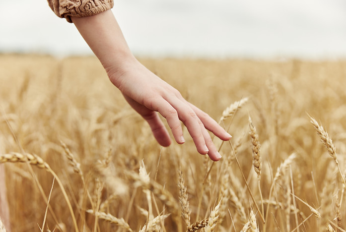 hand-countryside-industry-cultivation-autumn-season-concept.jpg