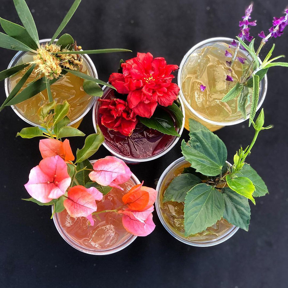 Glasses of Erva Brew yerba mate infused with citrus, mint, and berries for natural flavor enhancements.