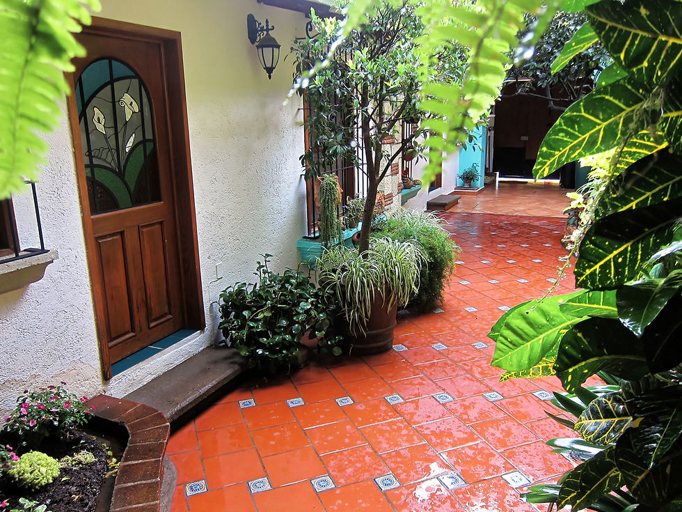 Entrance to Apartment #1