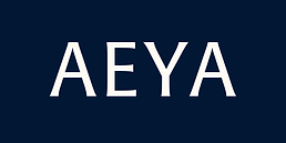 Untitled design (27).png