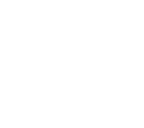 section-logo-bg.png