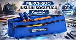 mavi kalemlik-y.png
