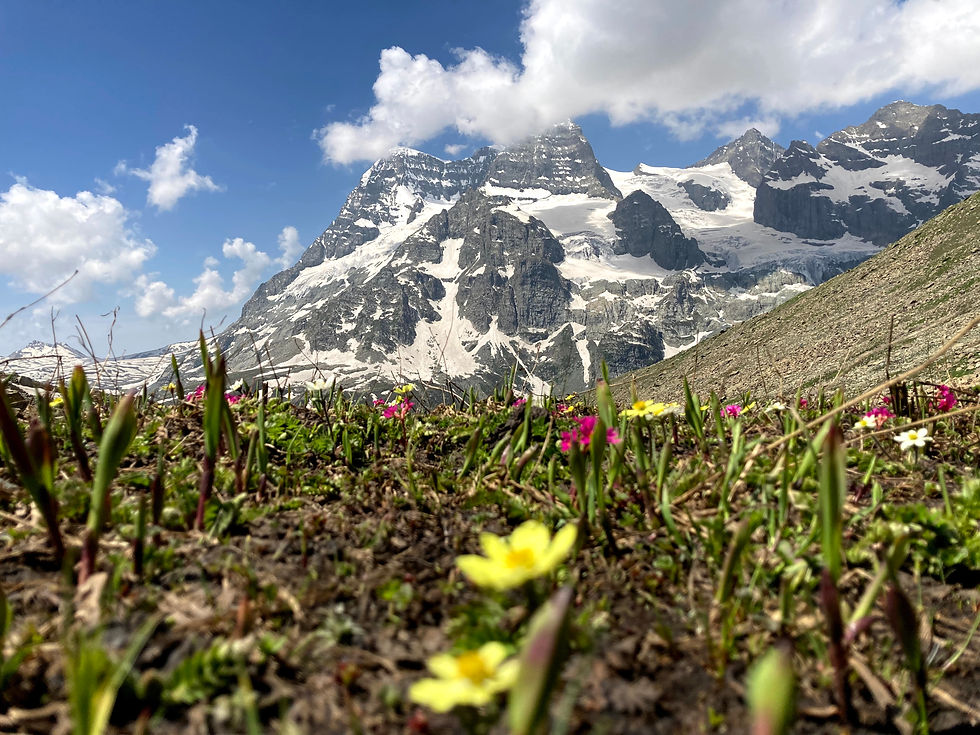 Kolhi Glacier Trek
