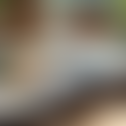 A Importância dos Retratos de Família no Início da Vida