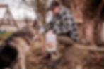 dog getting a treat
