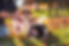 DSF4655-Edit.jpg
