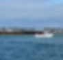 weymouth and portland boat trips