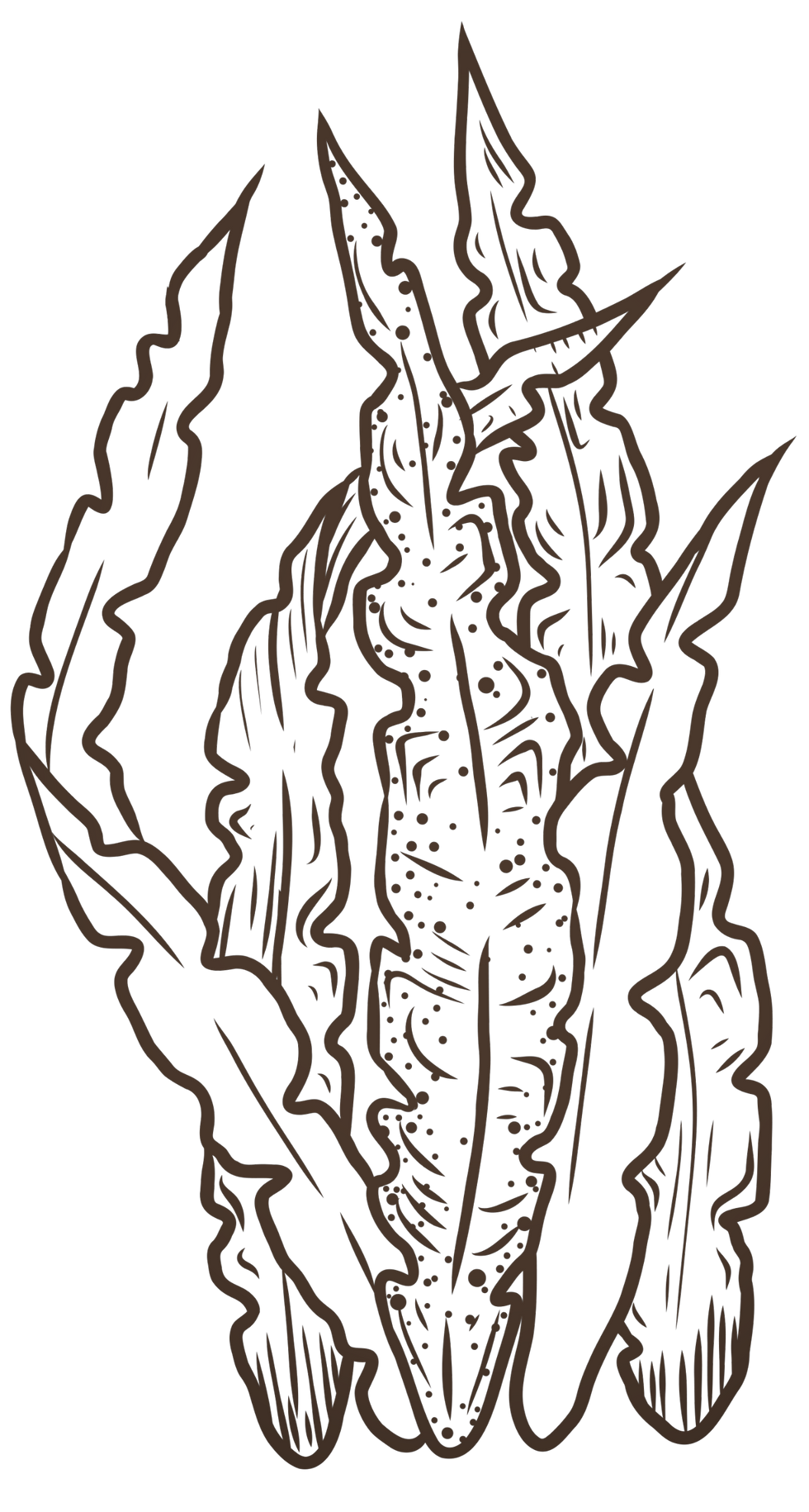 Portland Seaweed Spa massage treatments hammam spa portland dorset_edited.png