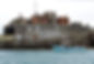 chequers fort portland boat trips