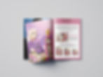 Saddle Stitch Booklet Graphic Designer and Print Specialist