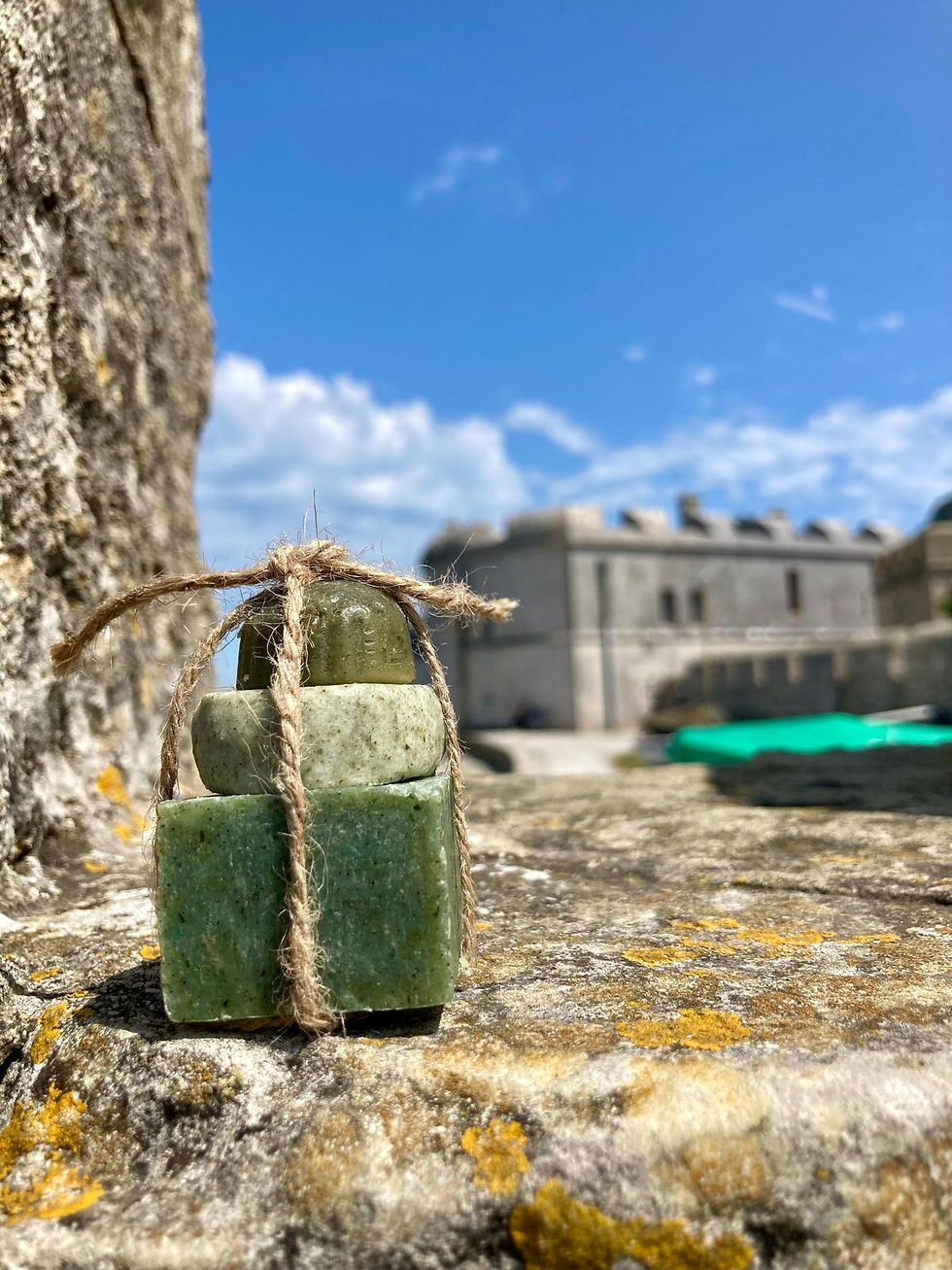 Portland Seaweed Spa Treatments Book online Dorset