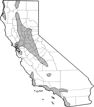 cali rat range.gif