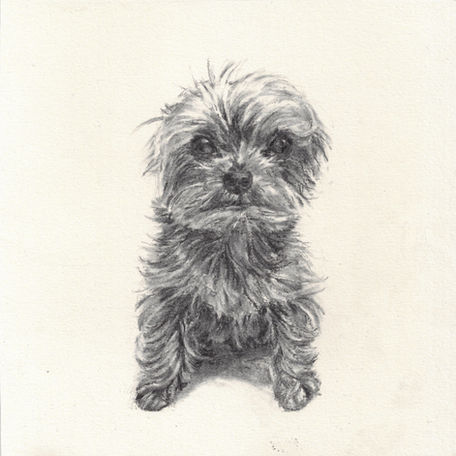 little lolly 