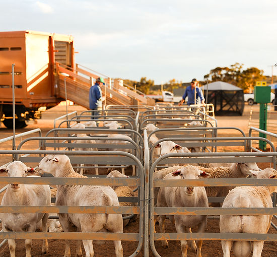 BH Agfair 030524-30.jpg