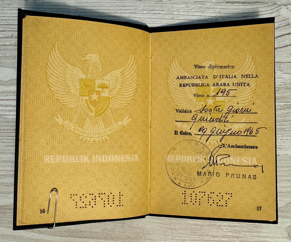 Thumbnail: Indonesia 1965 Diplomatic Passport for General Adviser of Presidential Palace