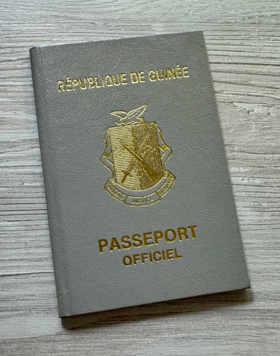 その他 OFFICIAL disneyana convention passport OFFICIAL disneyana convention passport