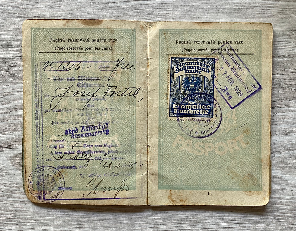 Thumbnail: Kingdom of Romania 1929 immigration passport for Argentina **SUPER RARE**