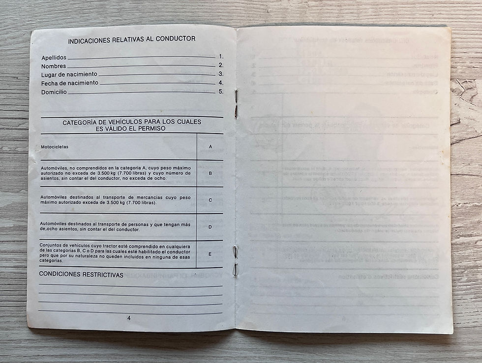 Thumbnail: Germany 1991-1994 international driving license
