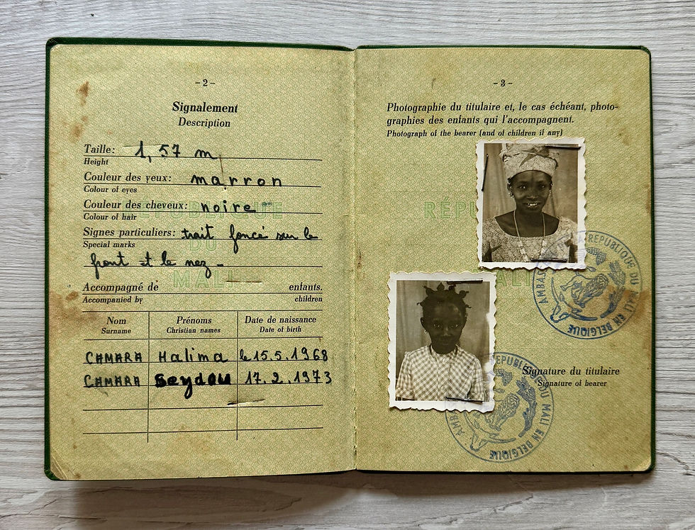 Thumbnail: Mali 1974 passport with visas of Burundi, Kenya, Ethiopia *SUPER RARE*