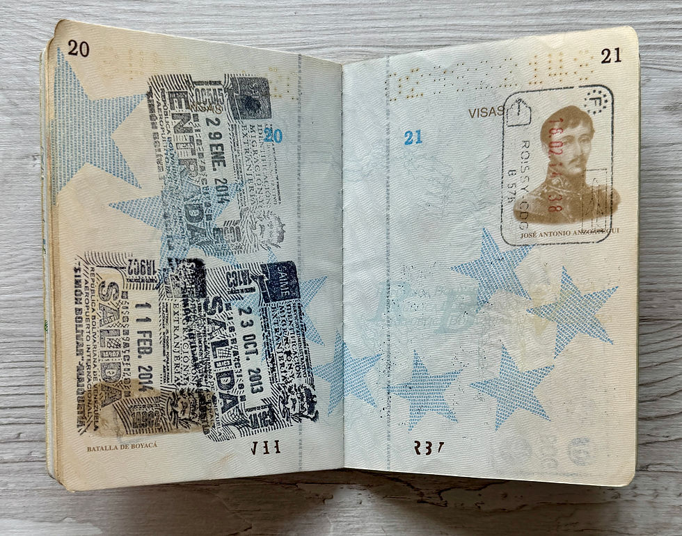 Thumbnail: South American 2009-2014 biometric passport / e-passport, full of visas