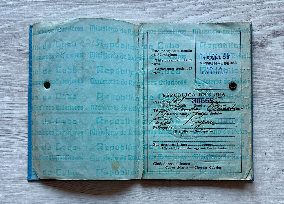 Thumbnail: Caribbean 1960 passport with US visa