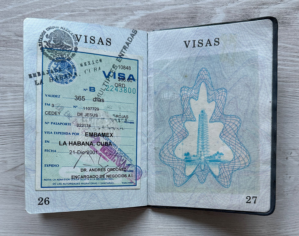 Thumbnail: Caribbean 2000 passport w/ multiple visas