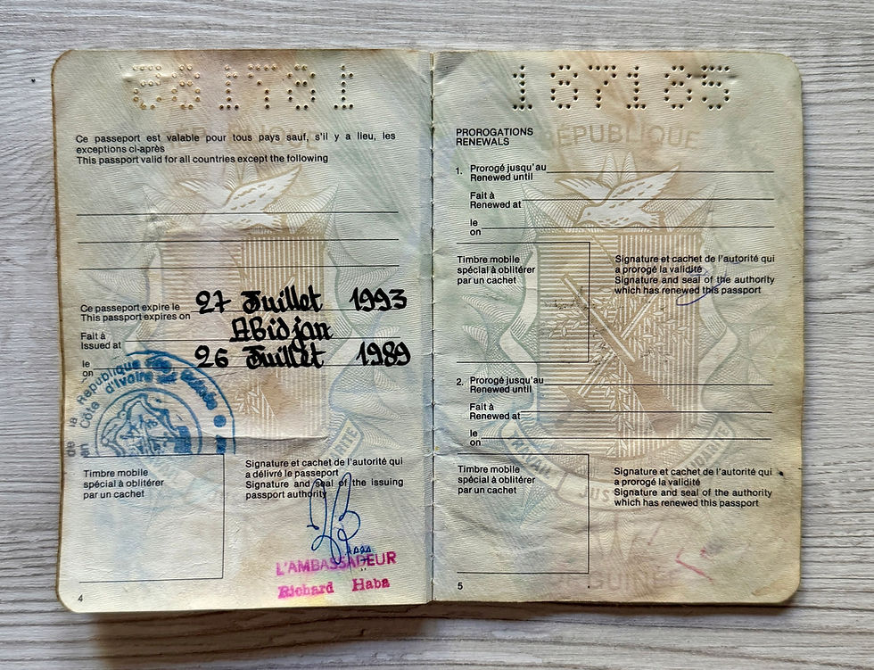 Thumbnail: Republic of Guinea 1989-1993 passport with various African visas *BAEAUTIFUL*