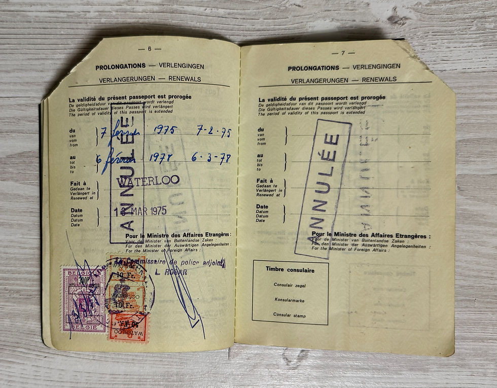 Thumbnail: Belgium 1973 passport of the President of Brussels Stock Market, lots of visas
