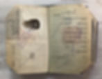 Thumbnail: Two (02) Israel 1954, 1956 passports bound together full of visas and revenues