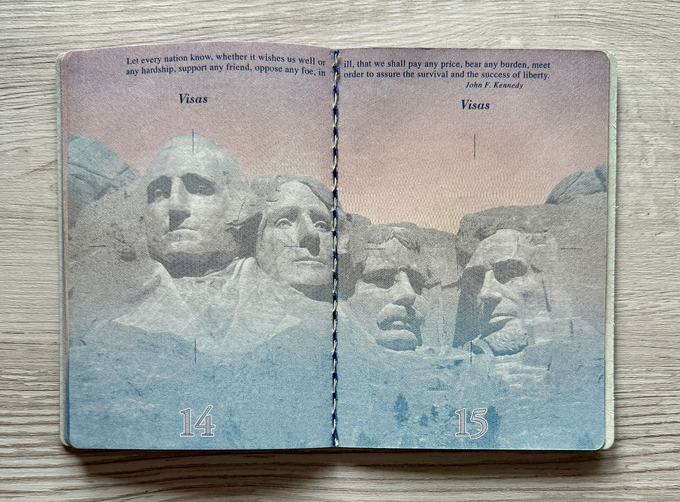Thumbnail: United States 2009-2019 biometric passport / e-passport, unused