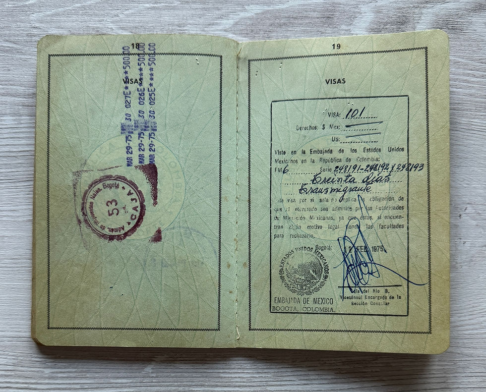 Thumbnail: Colombia 1972 passport, full of visas