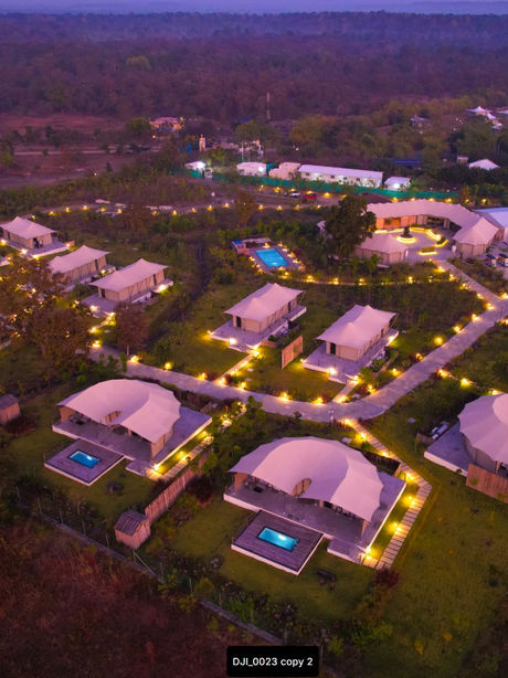 Untamed Paws, Tipeshwar Maharashtra