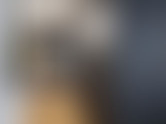 Homify: Schöne Farbschemata für dunkle Flure